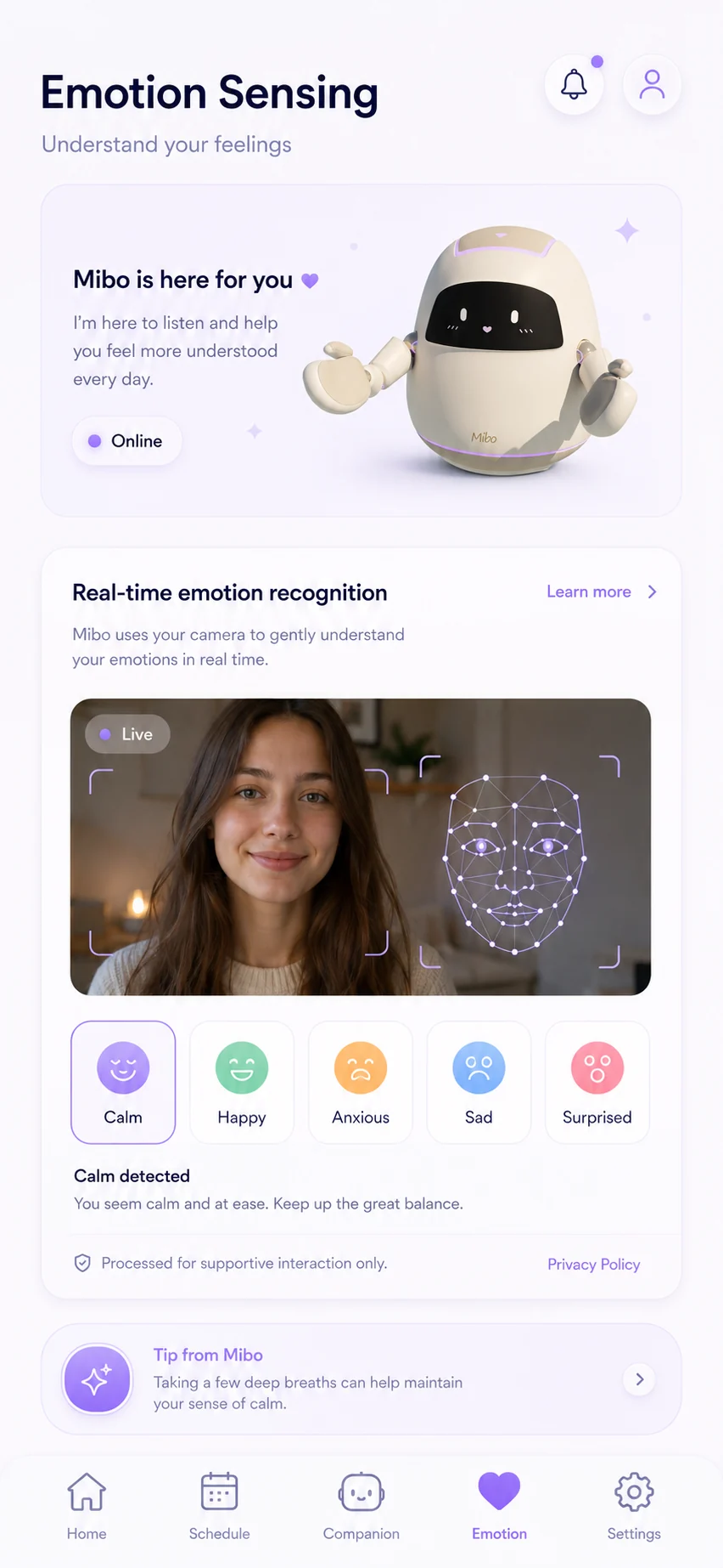 Mibo emotion-aware interaction concept